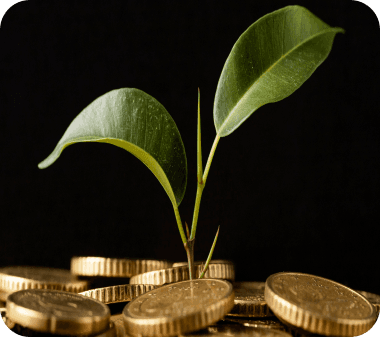 Administrative service