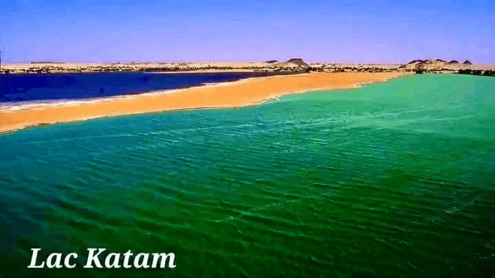 National Museum of Chad